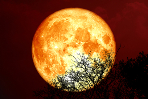 11月30日双子座の月食 ビーバームーンのメッセージ ローリエプレス