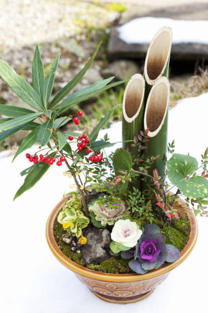 お正月の玄関を飾るのは 春まで楽しめる寄せ植えを作ってみた 18年12月29日 エキサイトニュース 3 5