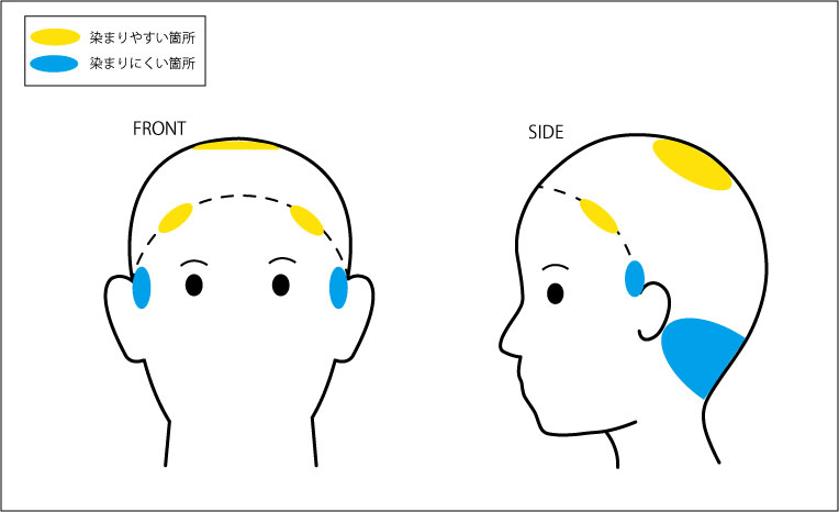 市販のヘアカラー剤で髪を染めるときのコツ 部位によって塗布する量を調節しよう ローリエプレス