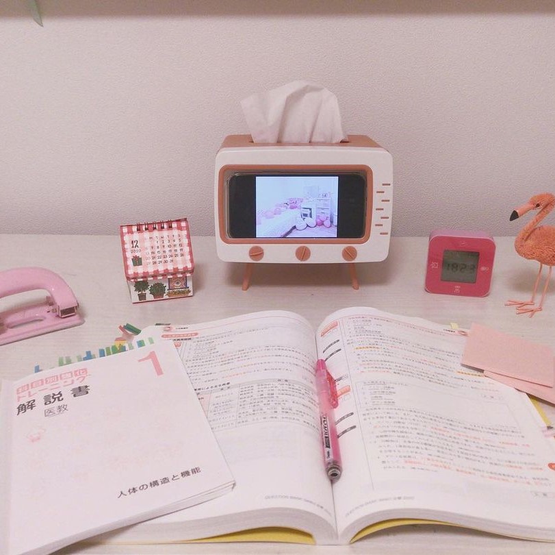 モチベアップで成績も上がる Study Vlogまとめ テスト1週間前 の過ごし方 勉強法を紹介 ローリエプレス