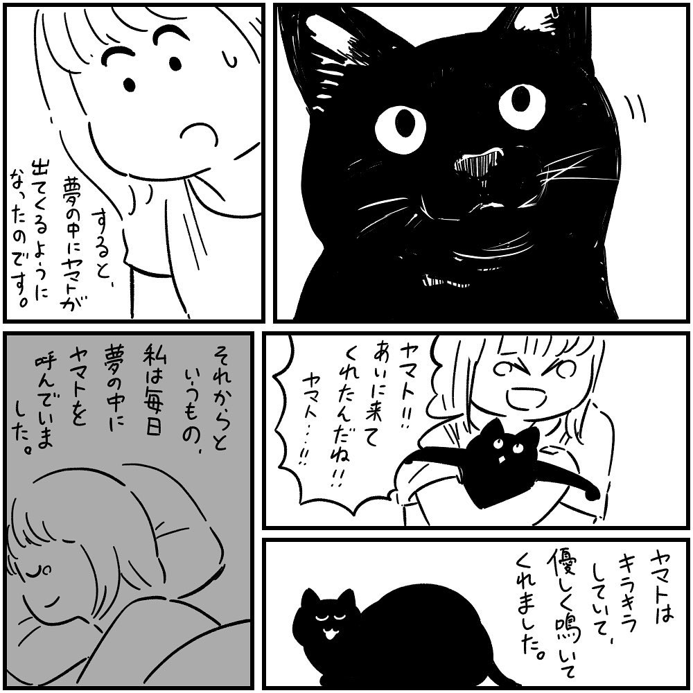 漫画 悪い霊が付いてくる 亡き飼い猫の願い フォロワーさんの本当にあった怖い話vol 14 ローリエプレス