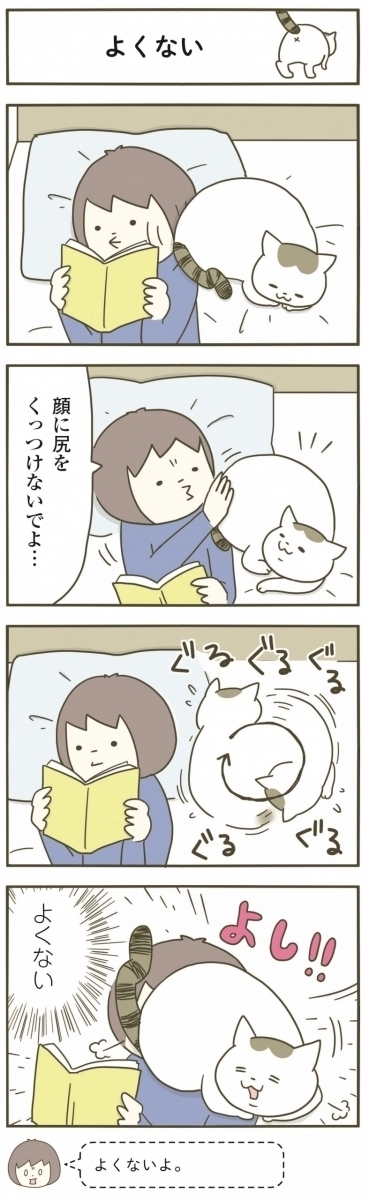 漫画 顔にお尻を 猫の変わったくつろぎ方 うちの猫がまた変なことしてる Vol 12 ローリエプレス