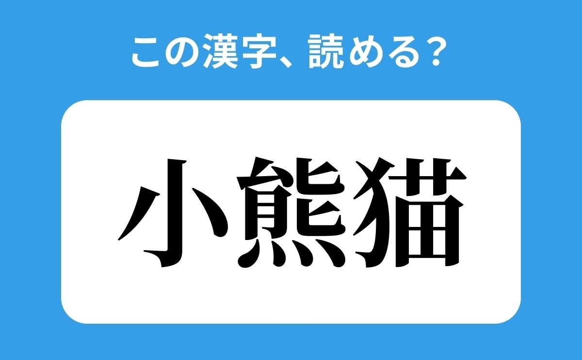 読めそうで読めない 小熊猫 の正しい読み方は こぐまねこ は間違い ローリエプレス