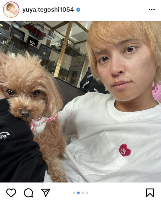 ラブラブだね 羨ましい 手越祐也 愛犬のバースデーにアツアツのキスショットを披露 ローリエプレス