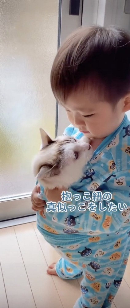 赤ちゃん 安い 抱っこ紐 猫