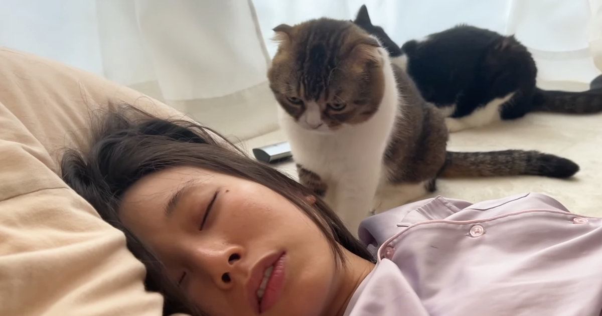 二度寝するママ』を起こしたい猫→奮闘した結果…まさかの展開が可愛