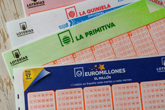 Feline Fortune: UK Cat Brings Home Life-Changing Lottery Ticket in Jaw-Dropping Surprise