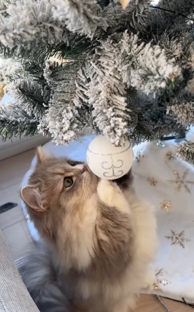 ネコ 天使たちの クリスマスツリー】☆ライトアップ 子猫てんこ盛り