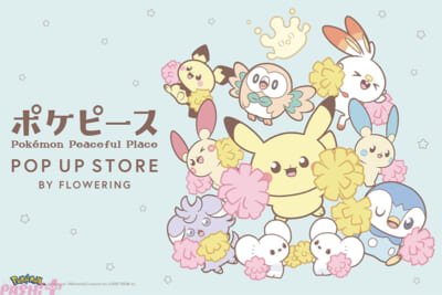 ポケモン』プラスルとマイナンのカワイイぬいぐるみも登場