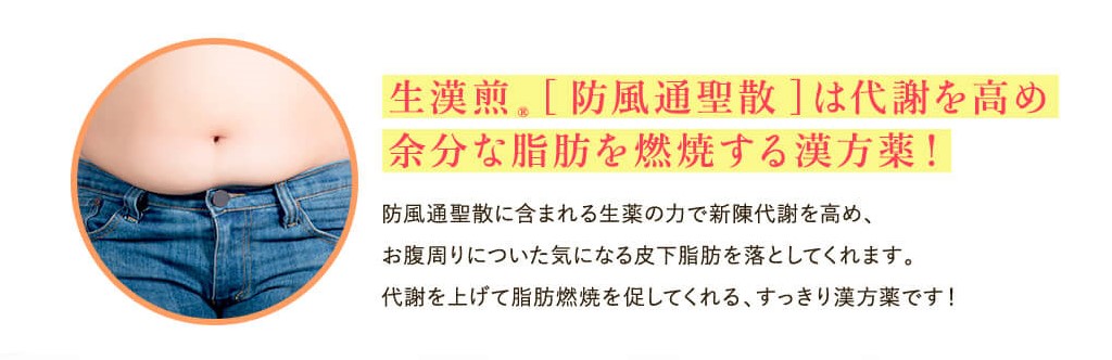 防風通聖散はどんな人におすすめ 特徴や購入方法も徹底解説 ローリエプレス