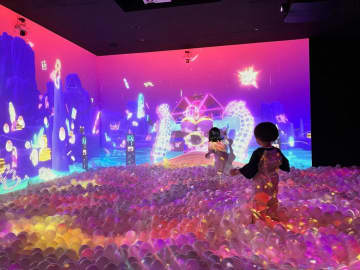 画像が削除されました