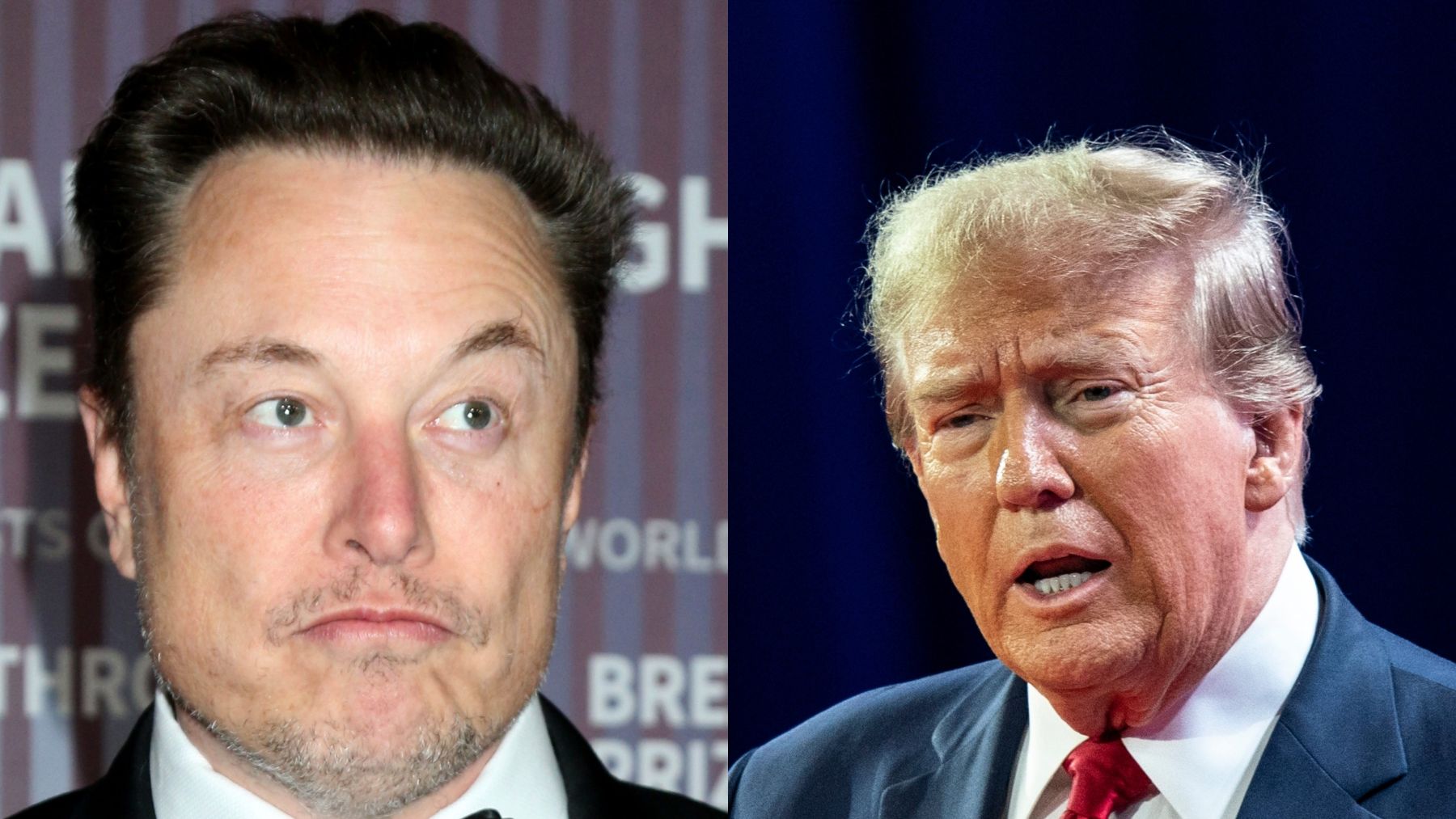 米大統領選現地ルポ〉「アメリカを再び偉大に！」聴衆は熱狂、ハリス支持者は涙…イーロン・マスク処遇は？ - エキサイトニュース