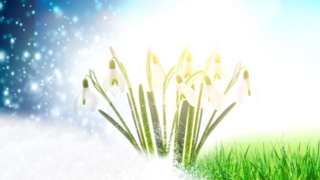 自分に自信をなくした時の名言 前向きになれる癒しの言葉 ローリエプレス