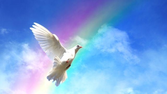 風水 鳥にまつわる金運や幸せを運ぶ5つの開運ポイントとは ローリエプレス