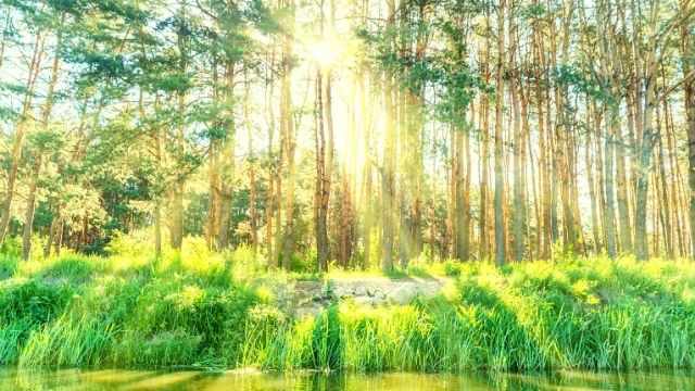 夢占い 光る夢は運気の上昇 光るもので運勢がわかる13選 ローリエプレス