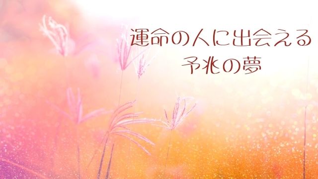 夢占い 運命の人に出会える予兆の夢18選 どんな出会いを暗示 ローリエプレス