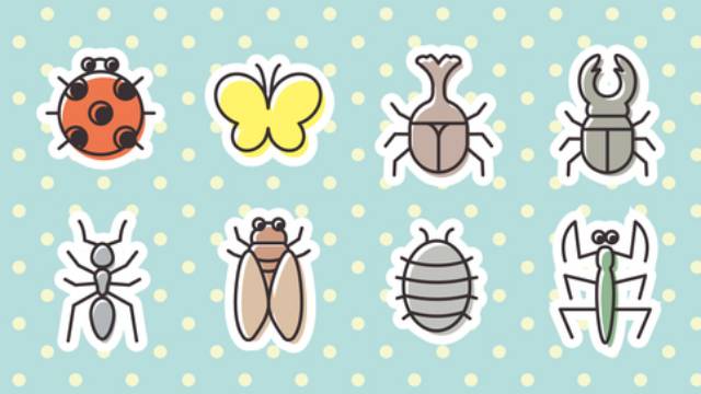夢占い 虫の種類で運気を見分ける14選 夢で見た虫の意味は ローリエプレス