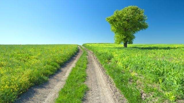 夢占い 自分を見失う暗示の夢選 人の意見に流されやすい時期 ローリエプレス