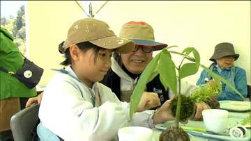 仙台の新緑祭で苔玉体験が話題に
