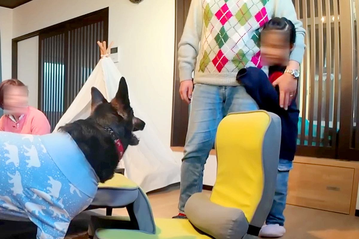大型犬と親友になった少女の物語から学べること