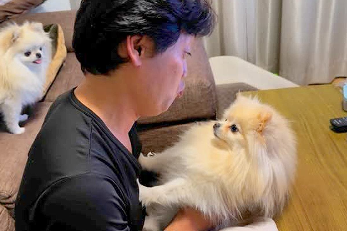 絶対に『パパとのチュー』をしたくない犬→ママが試してみた結果…辛辣すぎる『あからさまな態度』が364万再生「震えてるｗ」「切なくて草」 -  エキサイトニュース