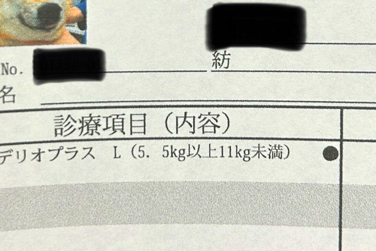 動物病院でもらった『診療明細書』→犬の顔写真も載っていて…まさかの『表情』に11万いいね集まる「最高に可愛いｗ」「履歴書みたいで良い」 - エキサイトニュース