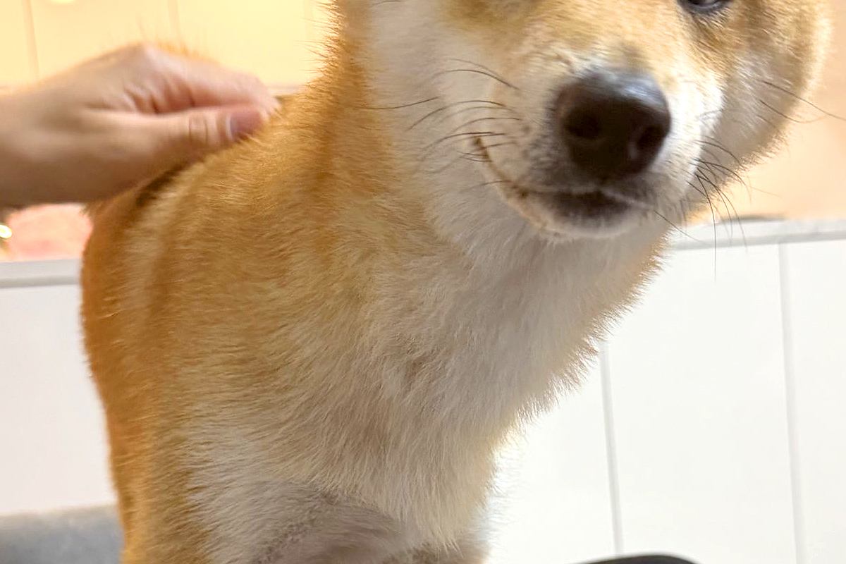 感情豊かな育三郎くんの姿が大人気！