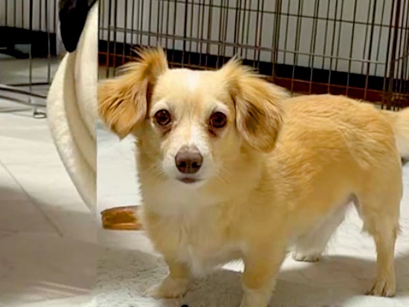 画像が削除されました