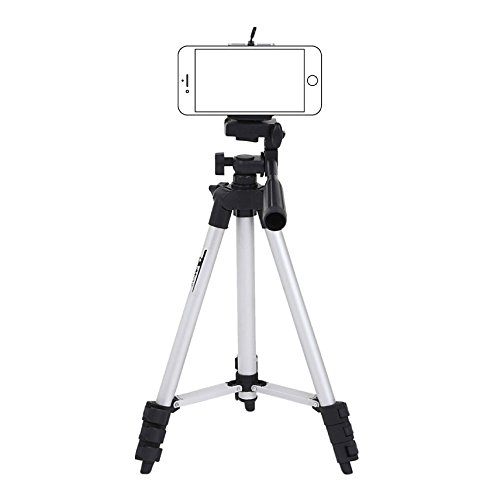 インスタ映えする写真が撮れる おすすめフォトジェニックアイデア5選 ローリエプレス