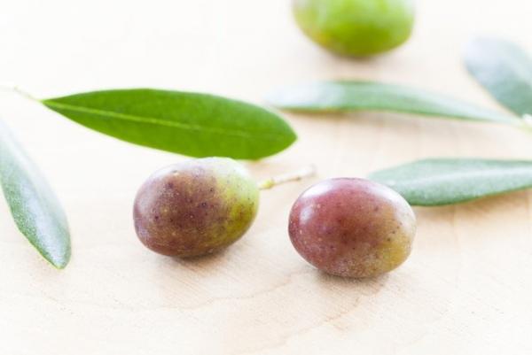 オリーブの実に緑と黒があるのはなぜ E レシピ 料理のプロが作る簡単レシピ 1 2ページ