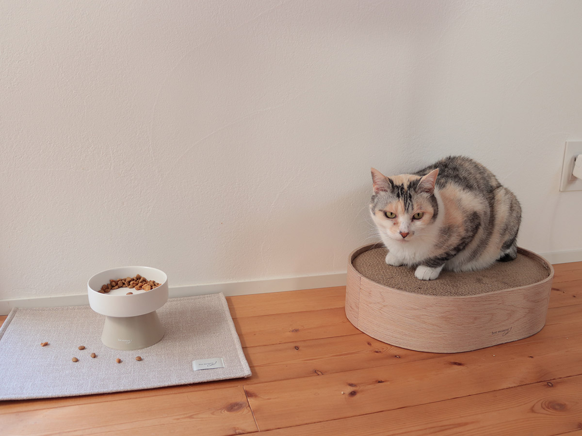 モダン猫様 リクエスト 4点 まとめ商品 猫の暮らしも、もっと豊かに 