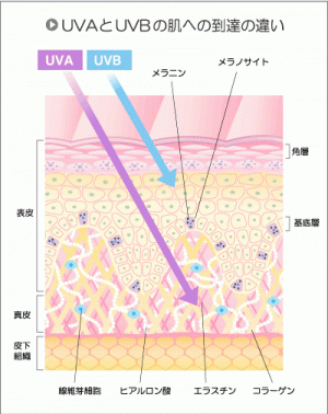 【特集】オーストラリアで話題の新作！敏感肌さんに嬉しい日焼け止め
