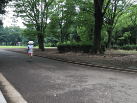 【マキアージュVSプリマヴィスタ】崩れない化粧下地を必死で崩してみた