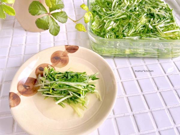レンジ 白だしで簡単 水菜のおひたし の作り置き E レシピ 料理のプロが作る簡単レシピ 1 2ページ