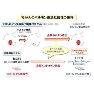 皮膚がん 有棘細胞がん 基底細胞がん パジェット病の記事一覧 ウーマンエキサイト 71 85