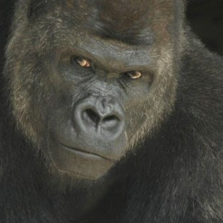 東山早智子の記事一覧 ウーマンエキサイト 4 4