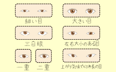 左右で目の大きさが違う人は直観的 目 で分かる本心とは ココロは顔にあらわれる 顔相占い Vol 3 15年11月24日 ウーマンエキサイト 1 2