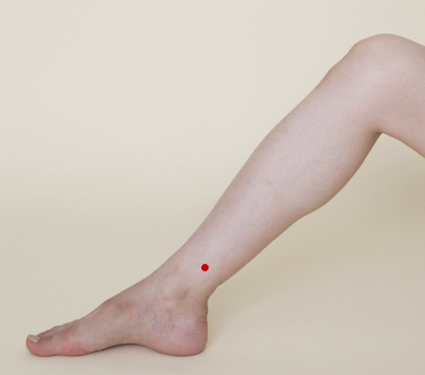 年齢は関係ない。いつからでも、誰でも、美女になれる。