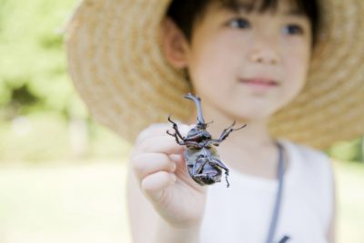 カブトムシを飼うことになったらぜひ読んで 餌は何をあげたらいいの 年8月24日 ウーマンエキサイト 1 2