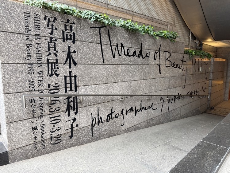高木由利子、東京の美術館で初個展「Threads of Beauty 1995-2025