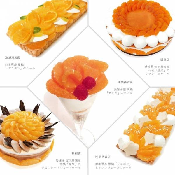 カフェコムサから オレンジの日 限定ケーキ 33店舗別 の個性溢れる柑橘スイーツ E レシピ 料理のプロが作る簡単レシピ 1 2ページ