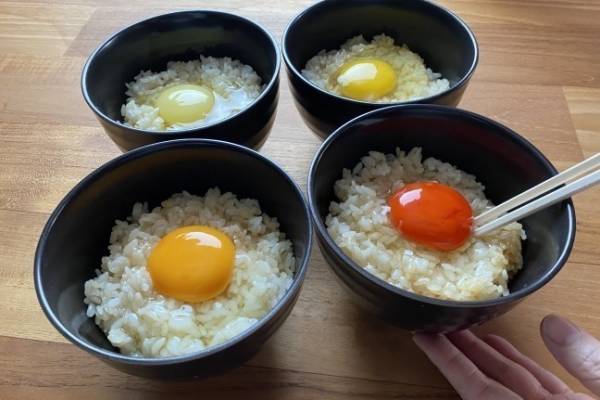 全国の レア卵 が集結する 幻の卵屋さん 池袋駅に 酒かす風味 ユズの香る卵など約40種類 E レシピ 料理のプロが作る簡単レシピ 1 1ページ