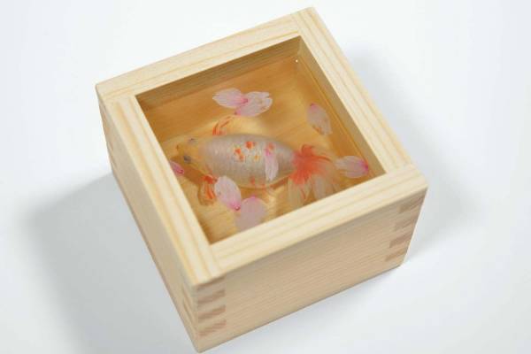 Fashionpress_69905_ssnetimgnew