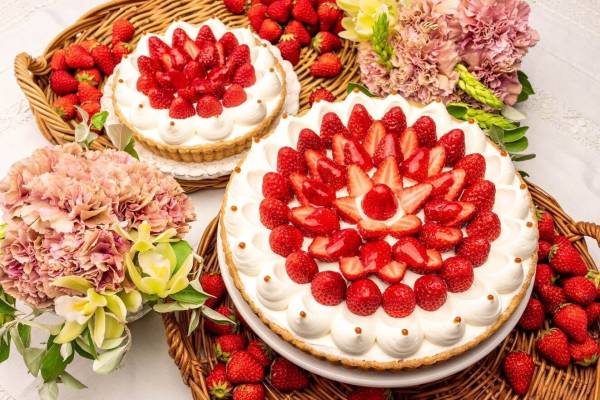 キル フェ ボン ティラノサウルスを飾った 夜空の恐竜タルト ソラマチ店限定で販売 19年6月27日 ウーマンエキサイト