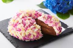 Fashionpress_73520_ssnetimgnew