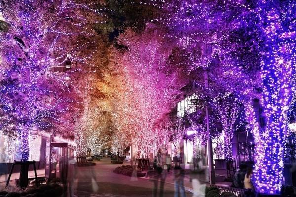 日比谷 魔法のようなグラデカラー イルミネーション 21 東京ミッドタウン日比谷にクリスマスツリー 21年10月3日 ウーマンエキサイト 1 3