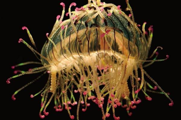 Fashionpress_85918_852aae2d080