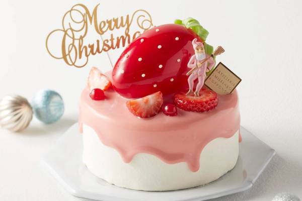 ED50 クリスマスケーキ さめほし