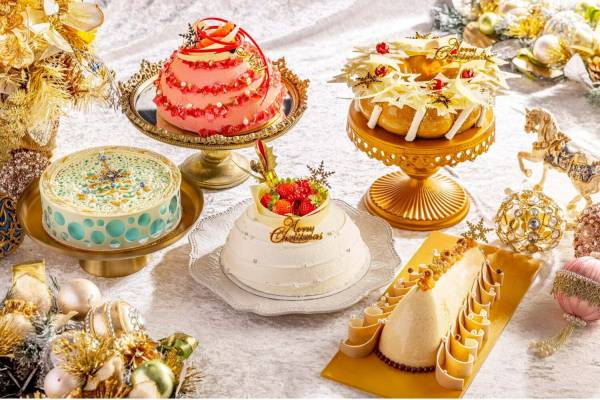 ヴァローナ クリスマスケーキ型