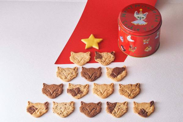 チョコレートフェアリーケーキのレシピ